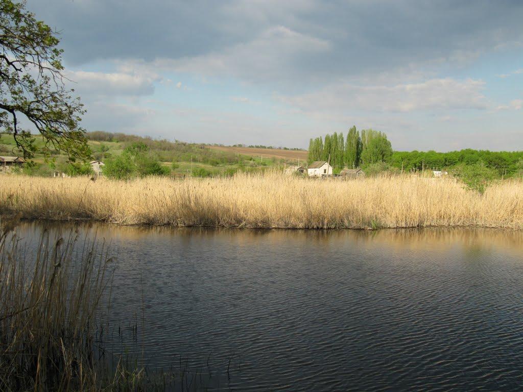 Дмитрівка з panoramio.com - Дмитрівка