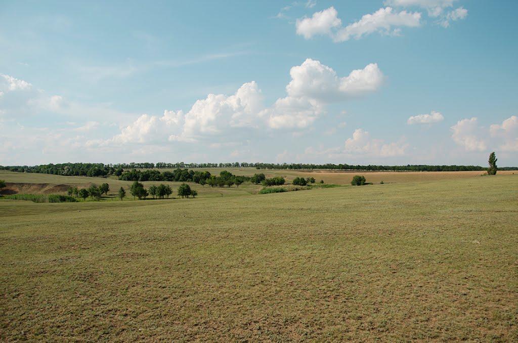 Новороманівка з panoramio.com - Новороманівка