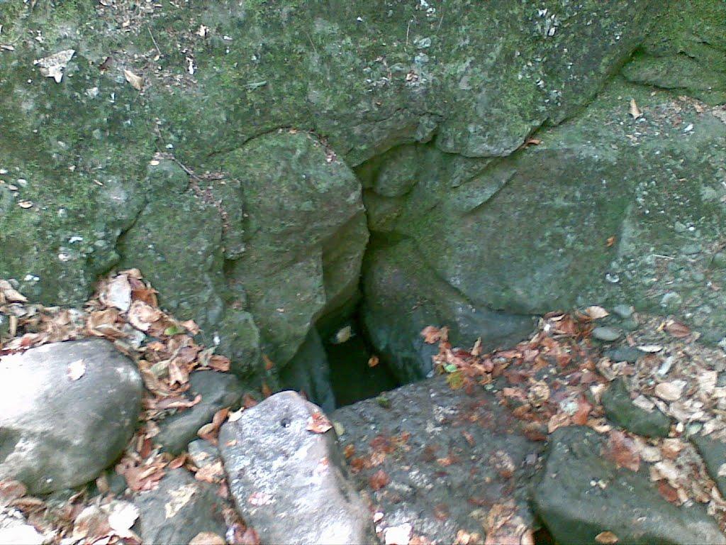 Лаванда з panoramio.com (ч.2) - Лаванда
