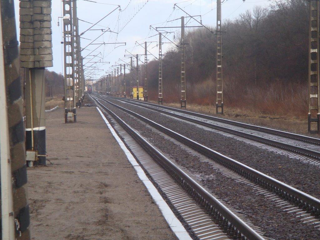 Переяслівка з panoramio.com - Переяслівка