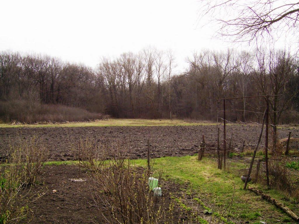 Гуньки з panoramio.com - Гуньки