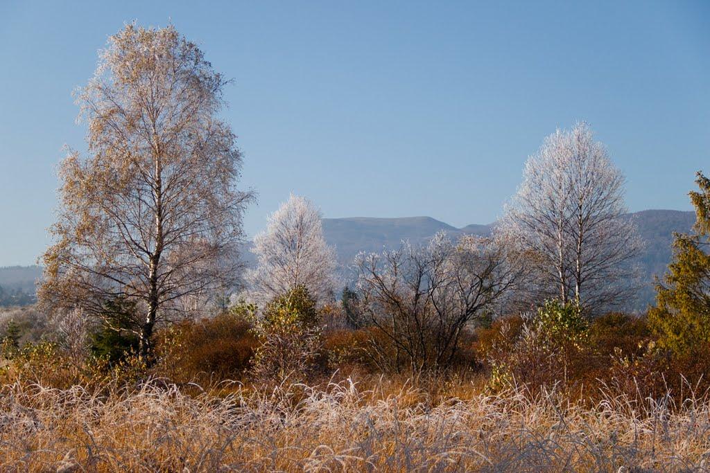 Шандровець з panoramio.com - Шандровець