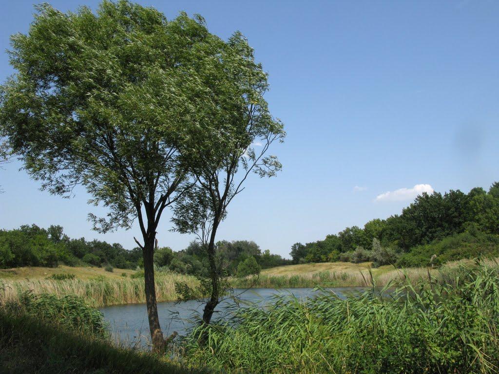 Жовті Води з panoramio.com - Жовті Води