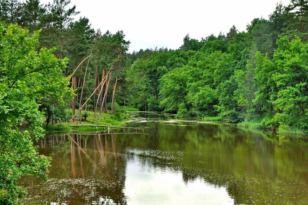 Кремінна з panoramio.com - Кременная