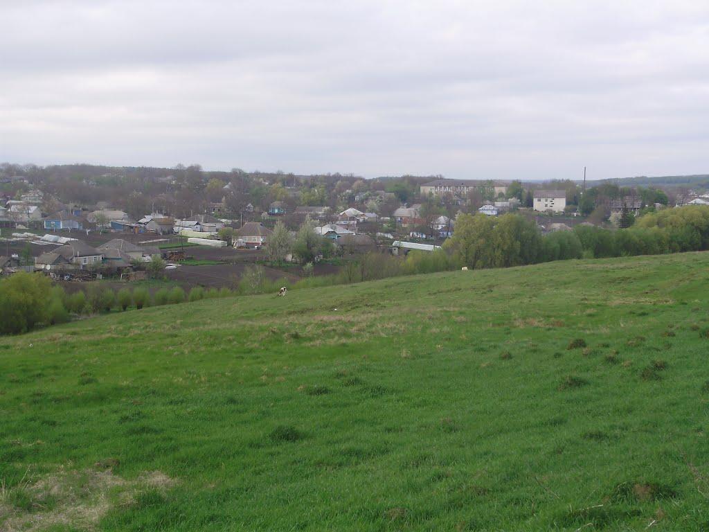 Шебутинці з panoramio.com - Шебутинцы