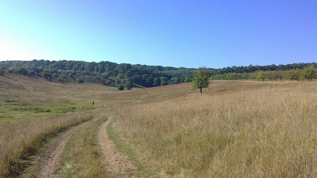 Люботин з panoramio.com (ч.2) - Lyubotyn