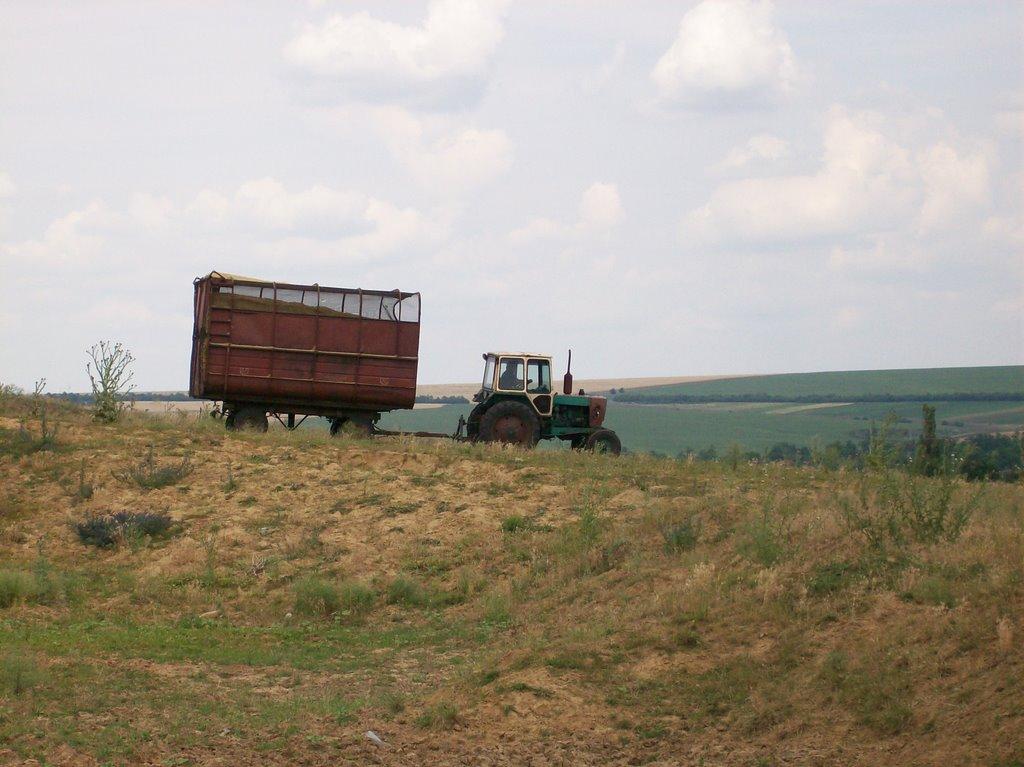 Настасіївка з panoramio.com - Настасиевка