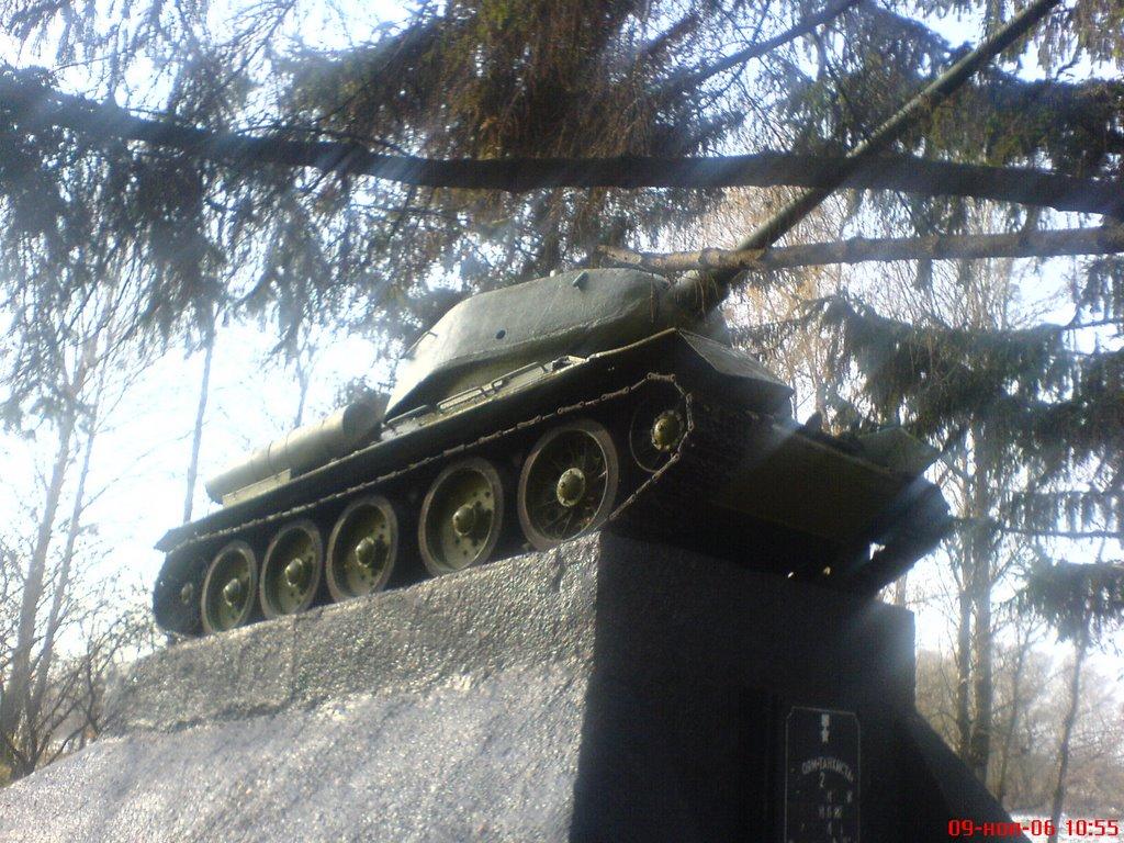 Плетенівка з panoramio.com - Pletenivka