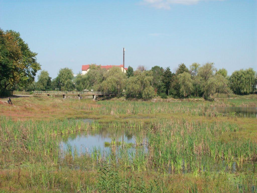 Коломия з panoramio.com - Коломыя