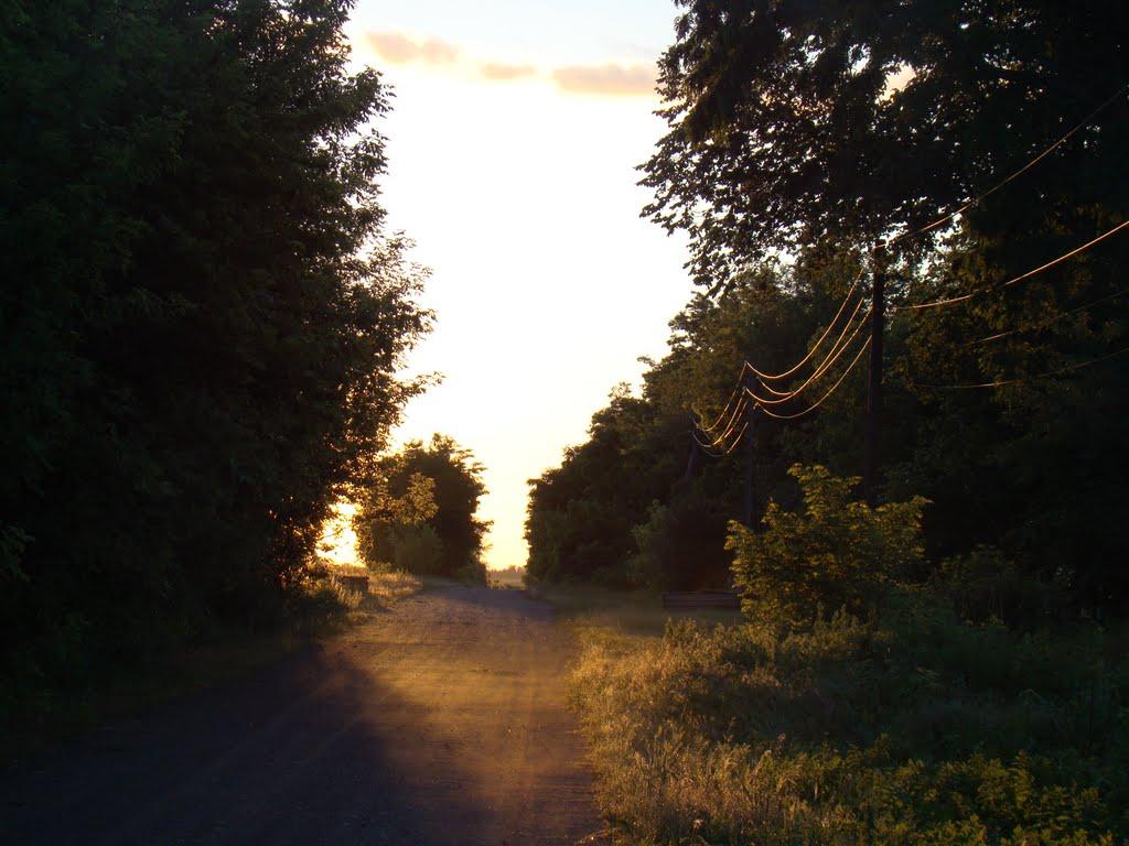 Червона Дача з panoramio.com - Червона Дача