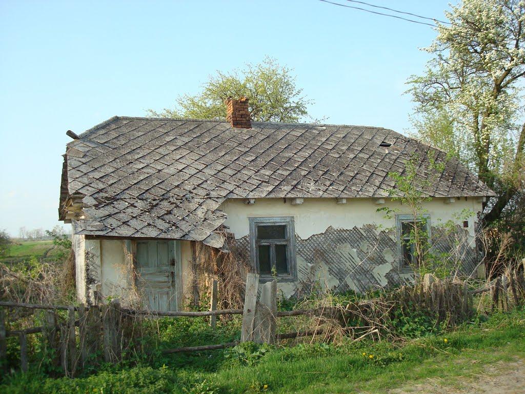 Дроздні з panoramio.com - Drozdni