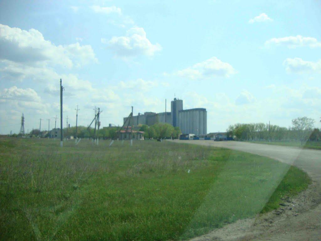 Сірогози з panoramio.com - Сірогози