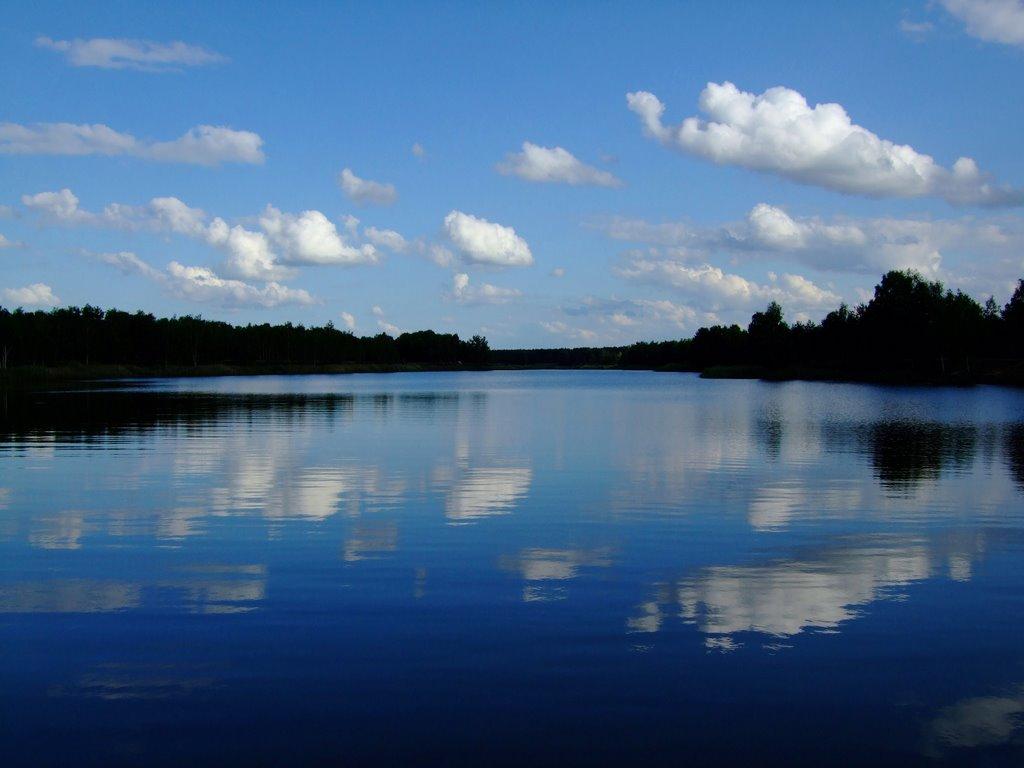 Ровжі з panoramio.com - Ровжі