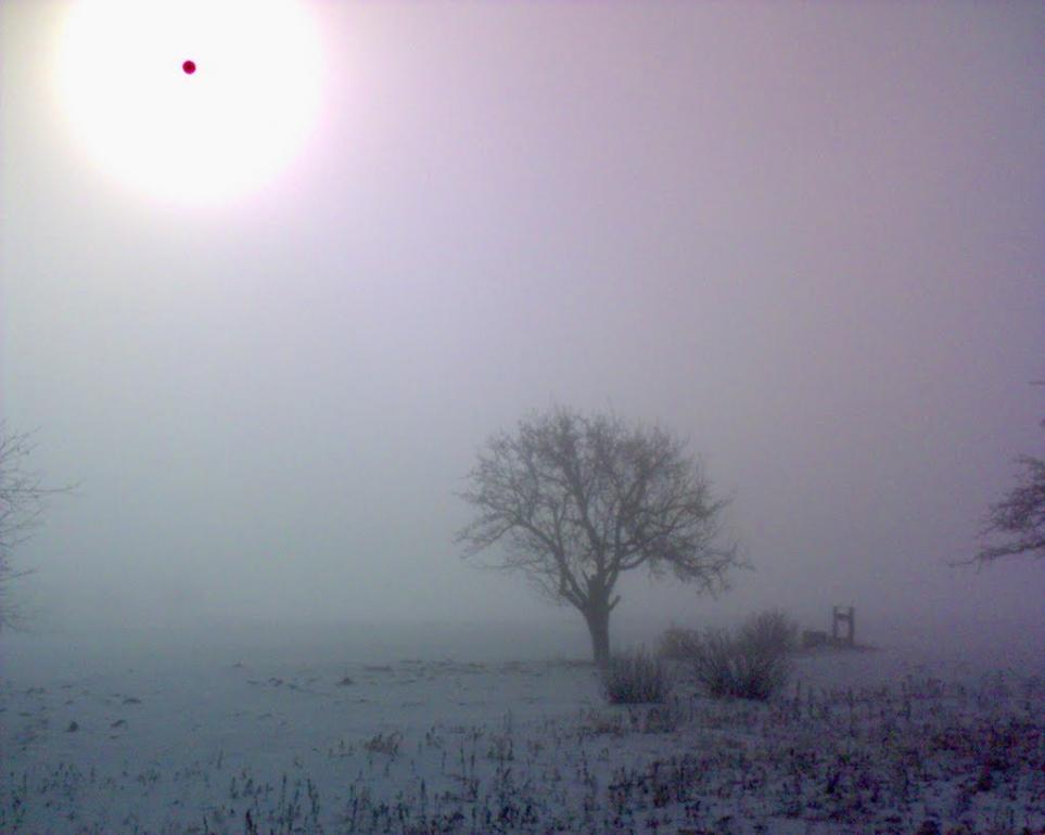 Червона Нива з panoramio.com - Червона Нива