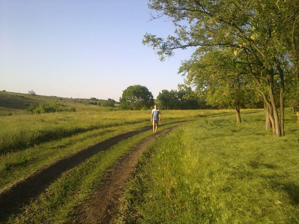 Республіка з panoramio.com - Республіка