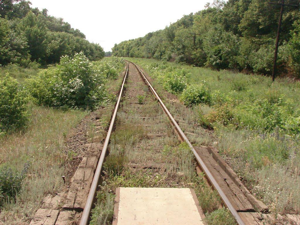 Рози Люксенбург з panoramio.com - Nove Shakhove