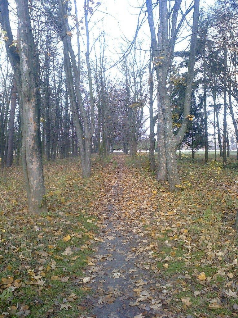 Брідок з panoramio.com - Брідок