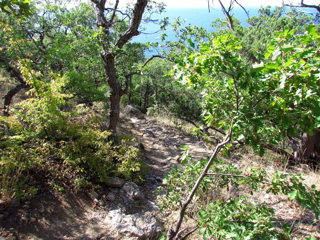 Гончарне з panoramio.com - Гончарне