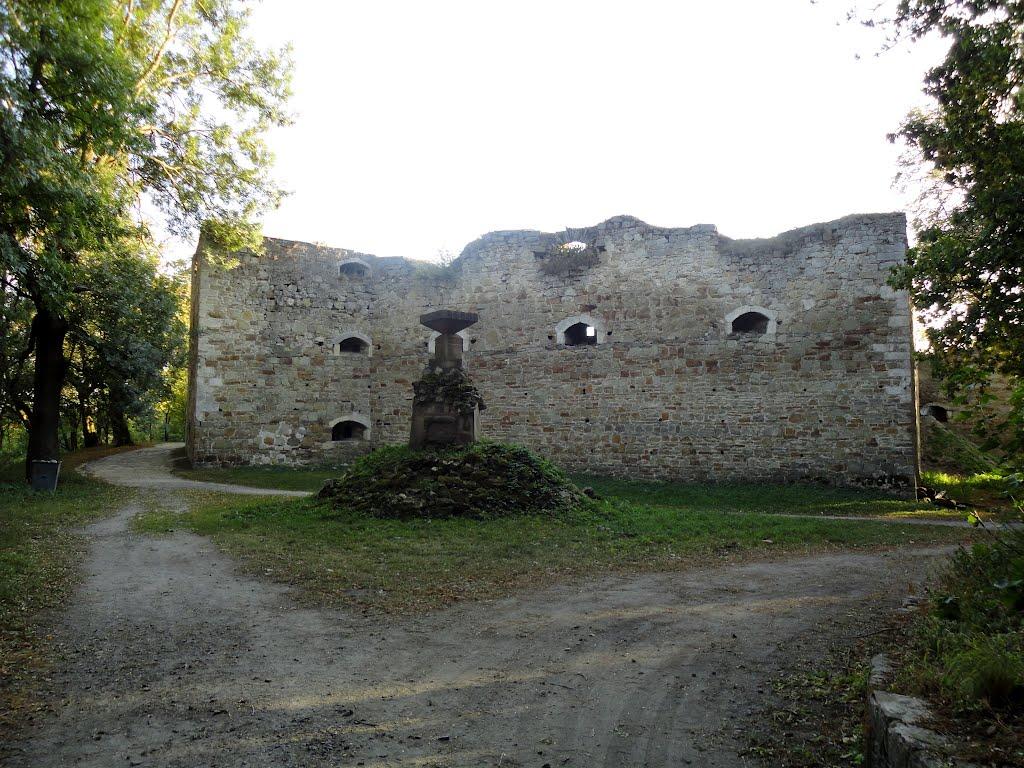 Теребовля з panoramio.com - Теребовля