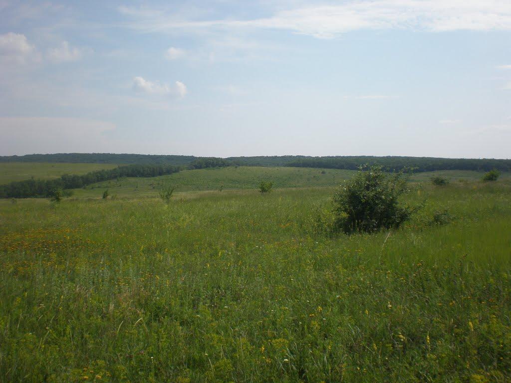 Попасне з panoramio.com - Попасне