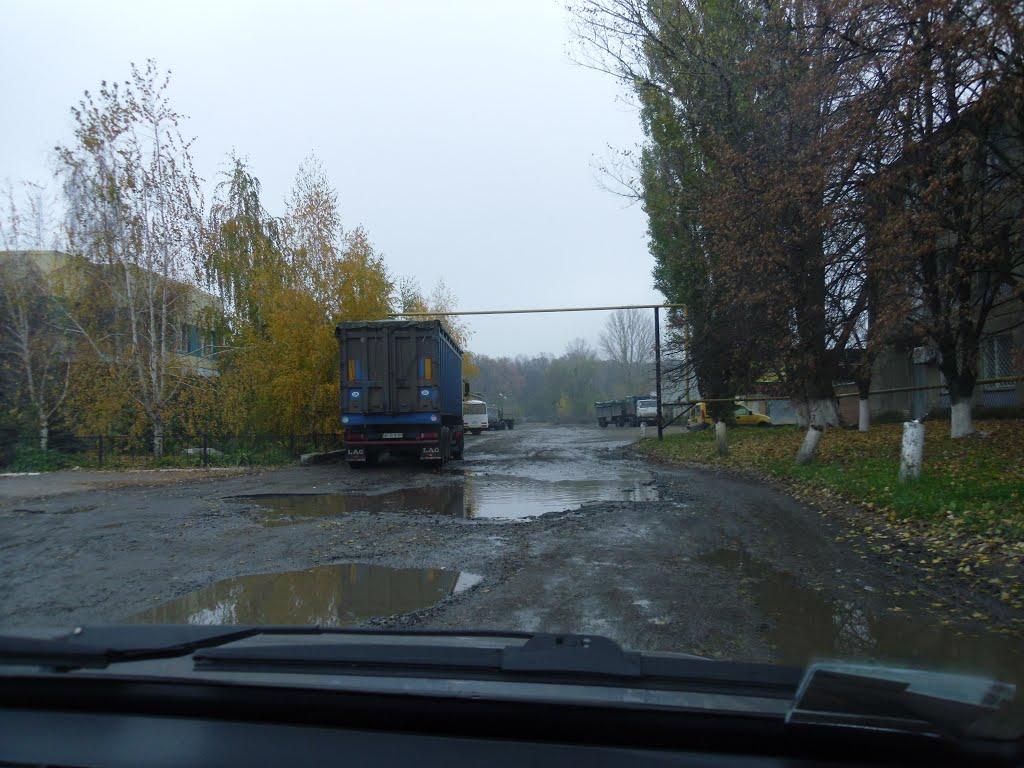 Гожули з panoramio.com - Гожулы