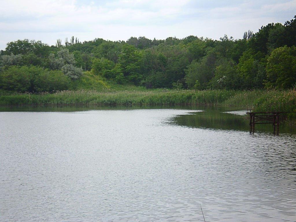 Тернуватий Кут з panoramio.com (ч.2) - Тернуватий Кут