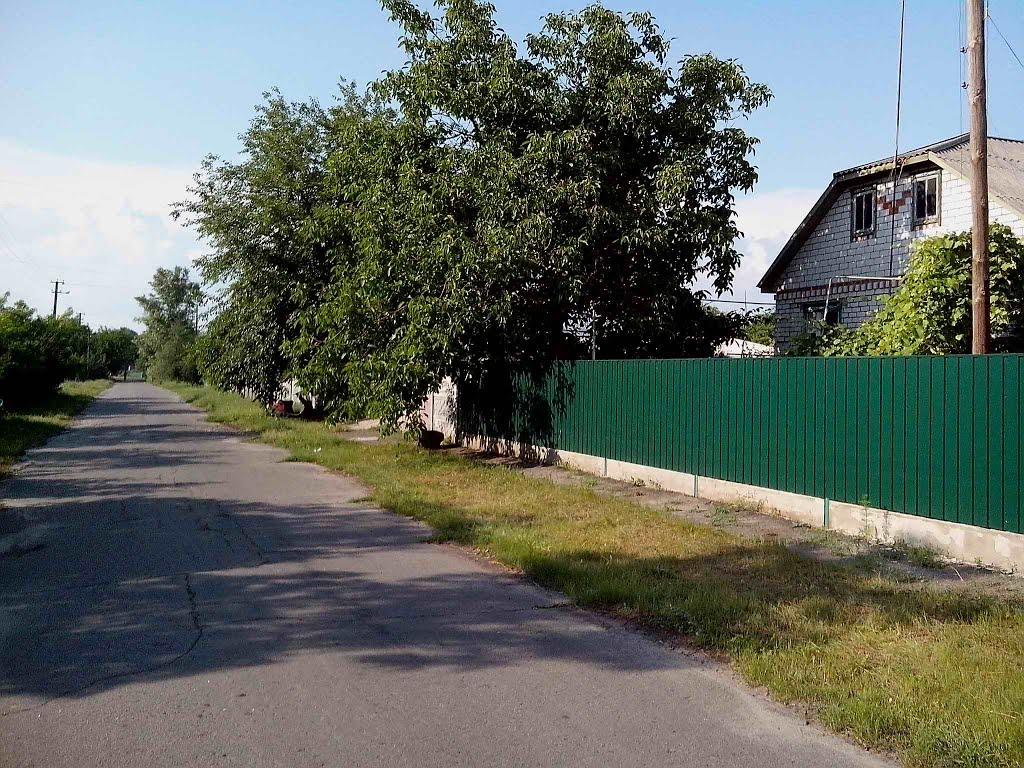 Хорішки з panoramio.com - Khorishky