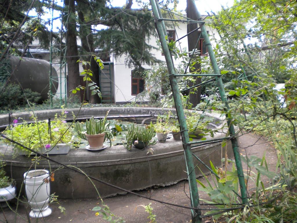 Курпати з panoramio.com - Курпати