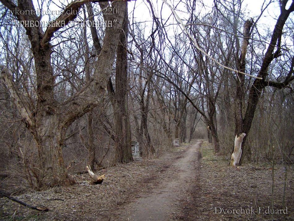 Тернуватий Кут з panoramio.com (ч.2) - Тернуватый Кут