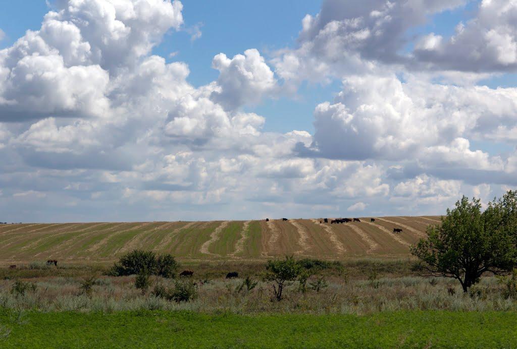 Богданівка з panoramio.com - Богданівка