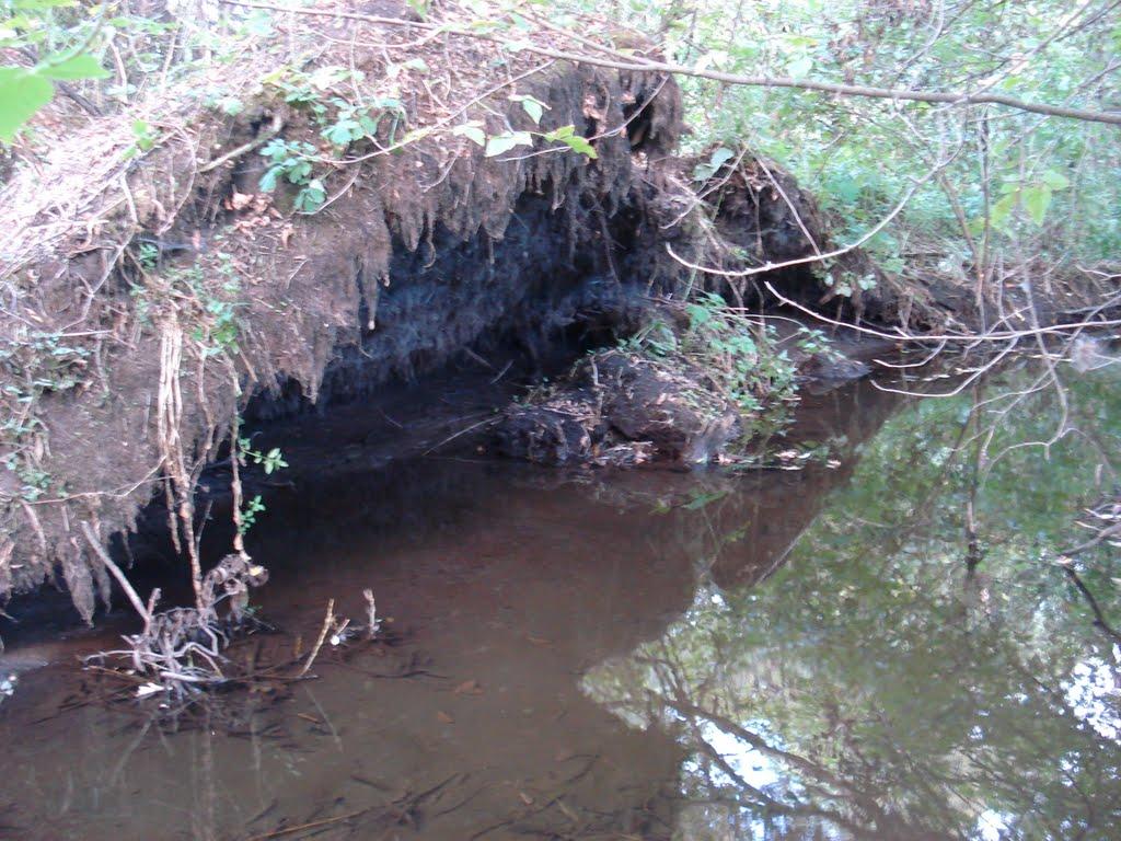 Берека з panoramio.com - Берека