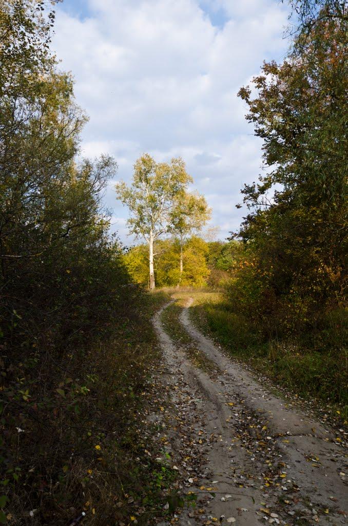 Буланове з panoramio.com - Буланове