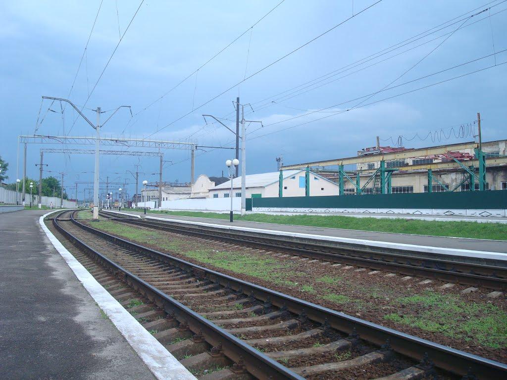 Шепетівка з panoramio.com (ч.2) - Шепетовка