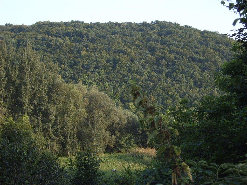 Дністрове з panoramio.com - Днестровое