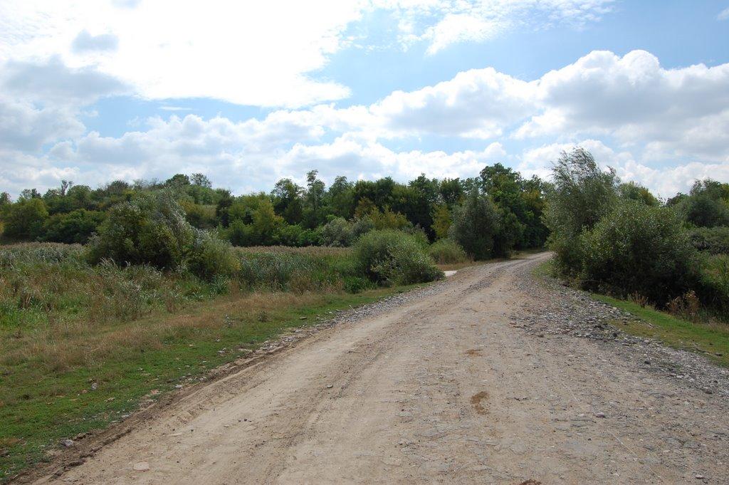 Степівка з panoramio.com - Степівка