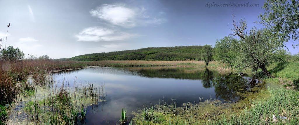 Настасіївка з panoramio.com - Nastasiyivka