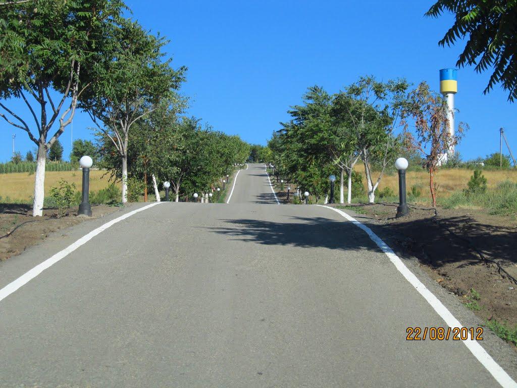 Старобогданівка з panoramio.com - Старобогданівка