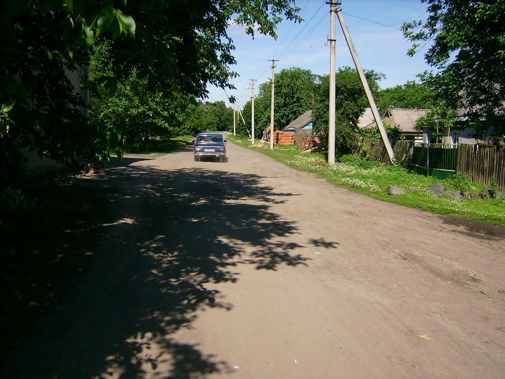 Стебне з panoramio.com - Стебне