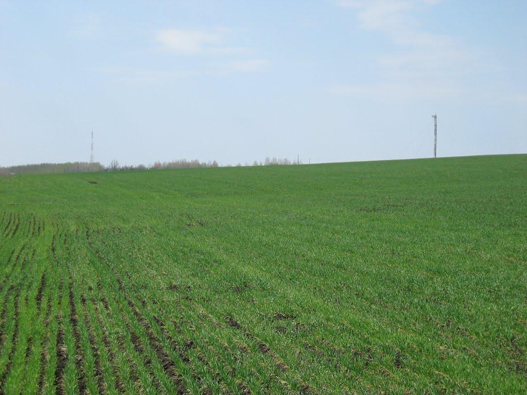 Великий Бурлук з panoramio.com - Великий Бурлук