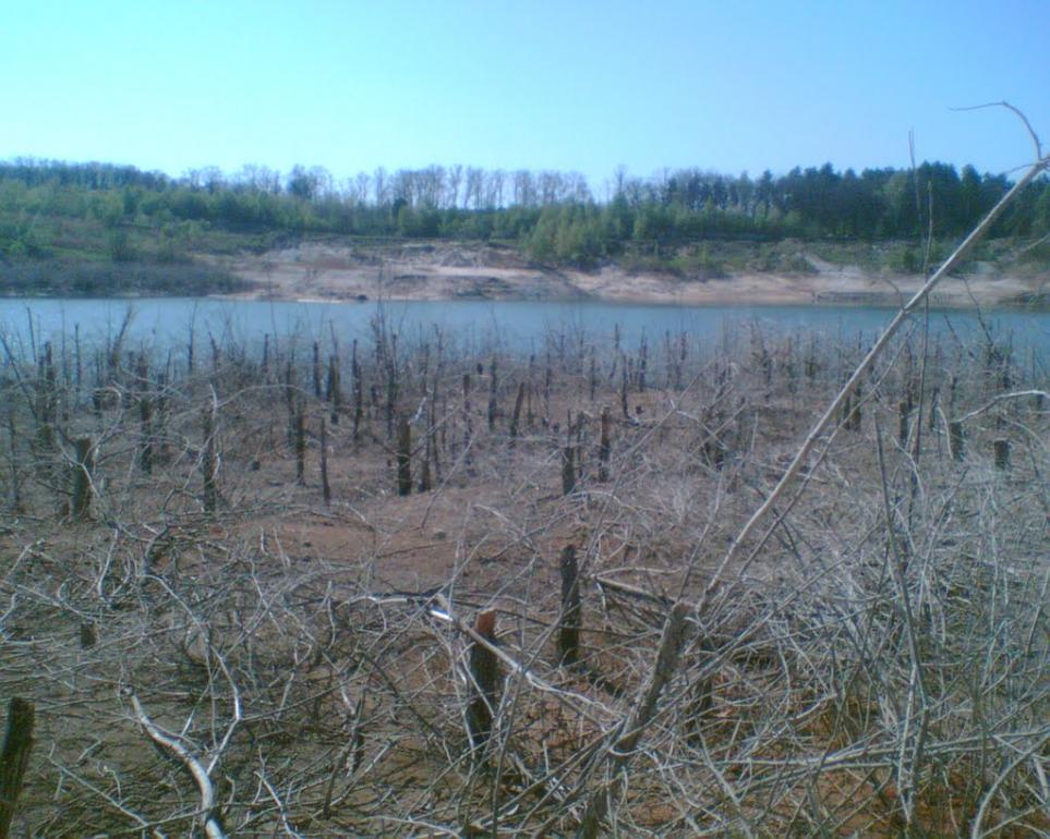 Турбів з panoramio.com - Турбів