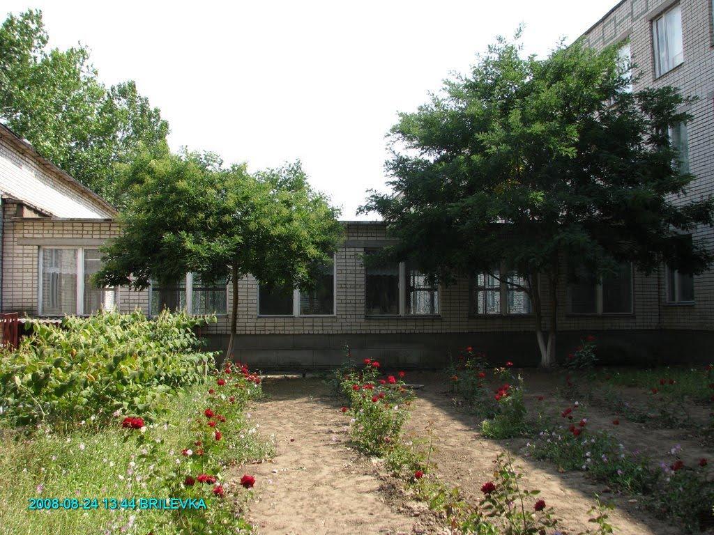 Брилівка з panoramio.com - Брилівка