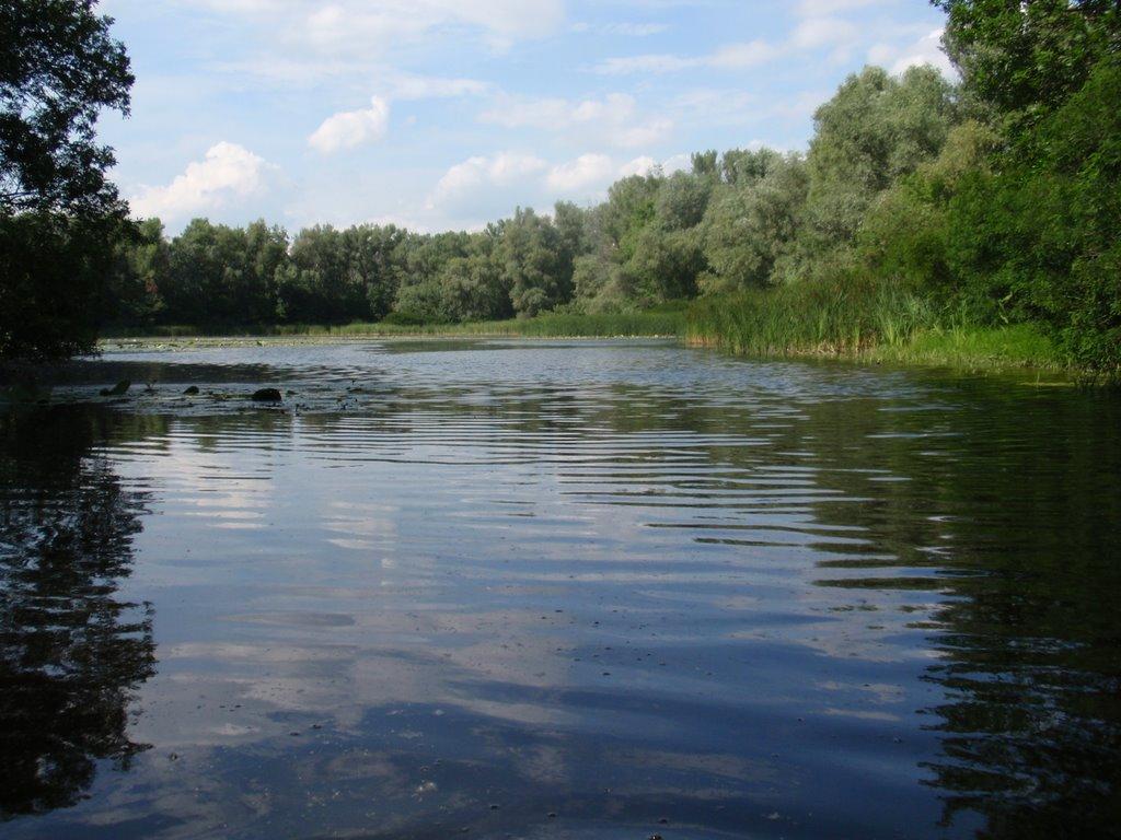 Кияшки з panoramio.com - Kyyashky