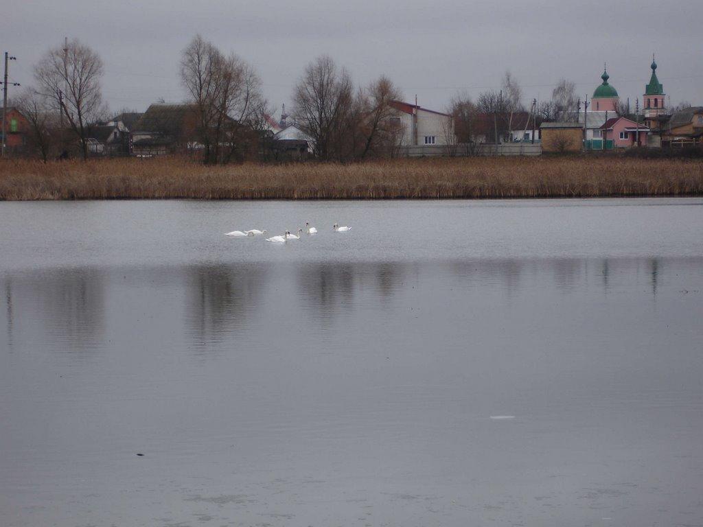 Макарів з panoramio.com - Макарів