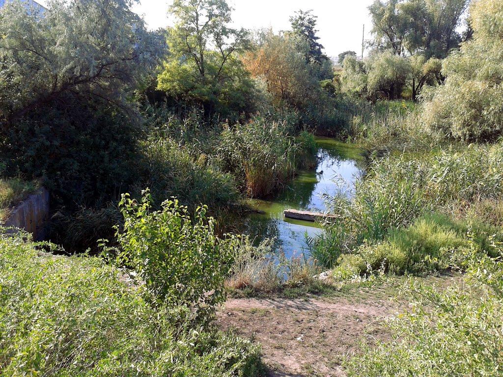 Погреби з panoramio.com - Погреби