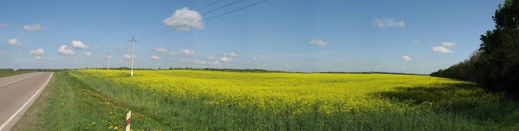 Прилуки з panoramio.com - Прилуки