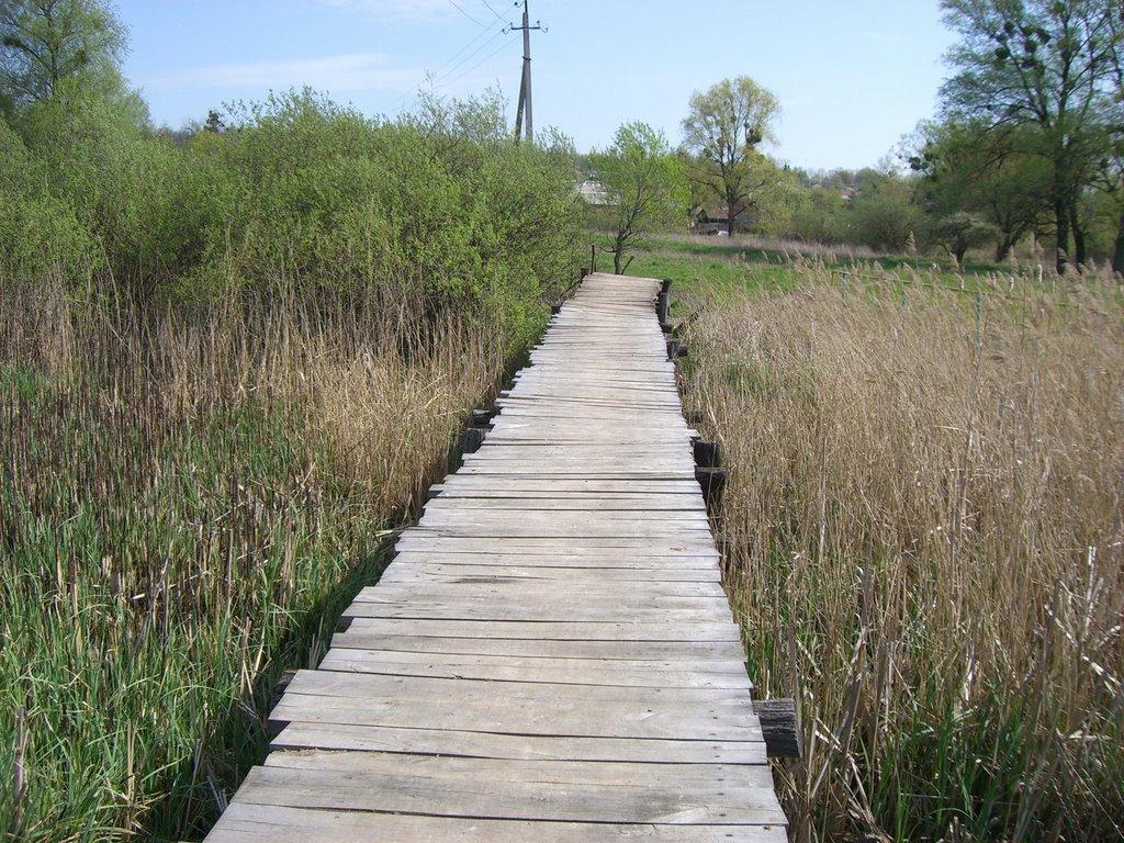 Люботин з panoramio.com (ч.2) - Lyubotyn