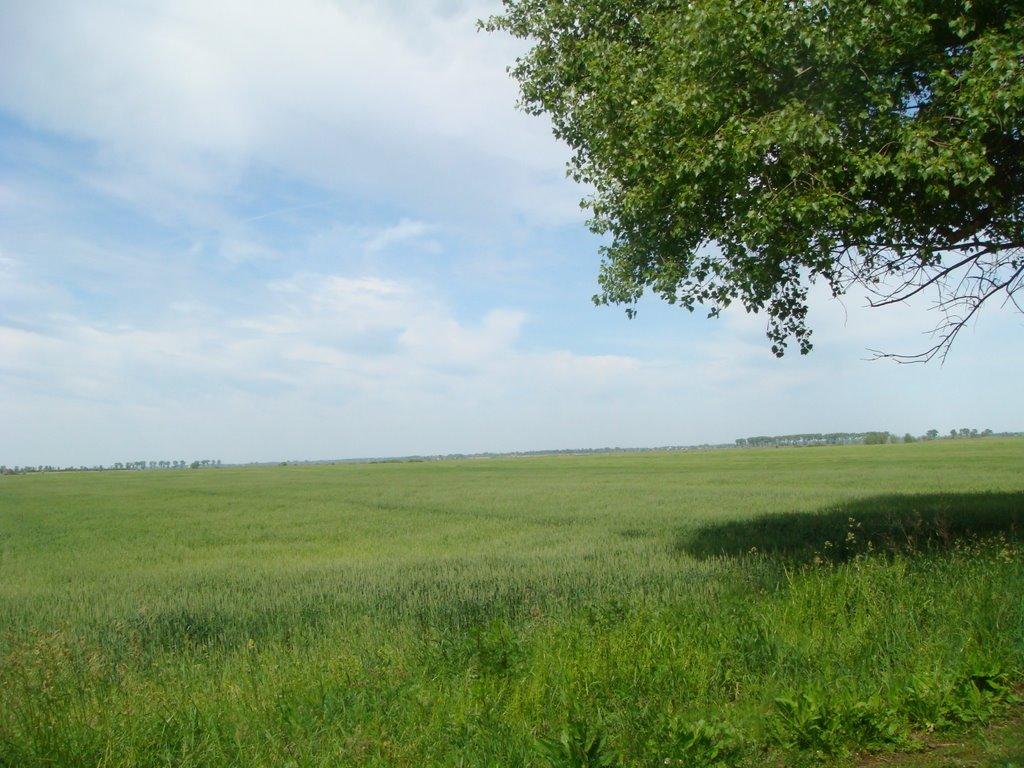 Переяслівка з panoramio.com - Переяслівка