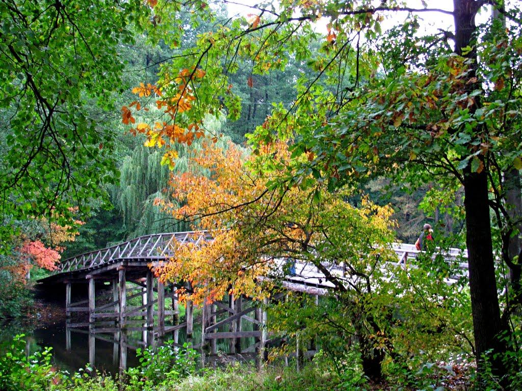 Горенка з panoramio.com - Горенка