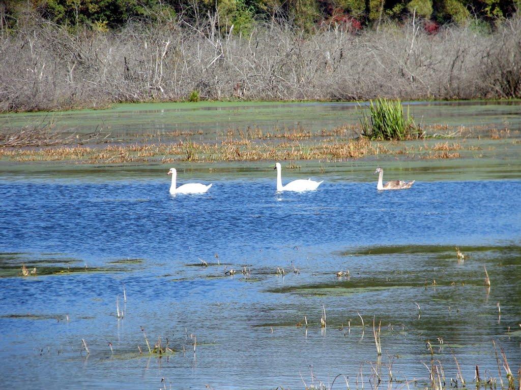 Руда-Красна з panoramio.com - Руда-Красна
