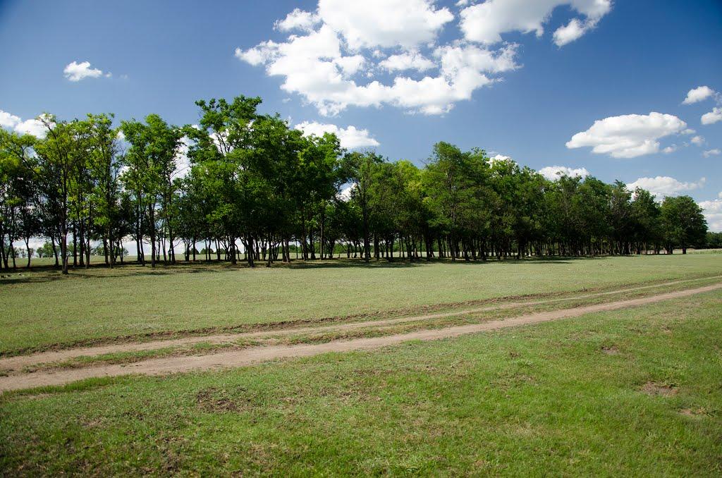 Новороманівка з panoramio.com - Новороманівка